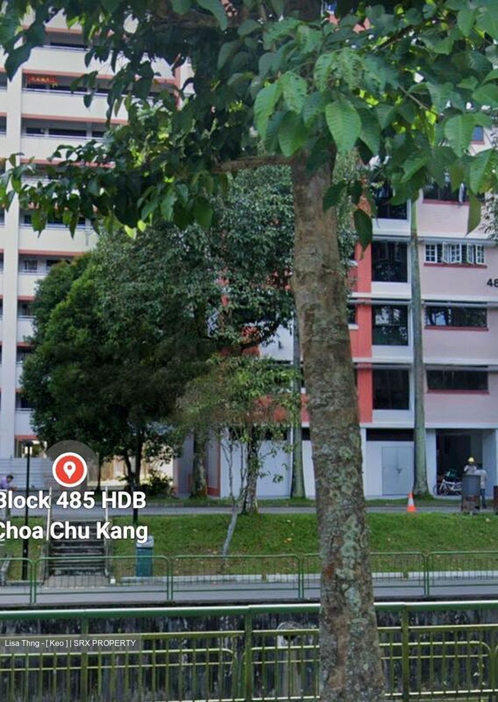 Blk 485 Choa Chu Kang Avenue 5 (Choa Chu Kang), HDB 5 Rooms #430253081